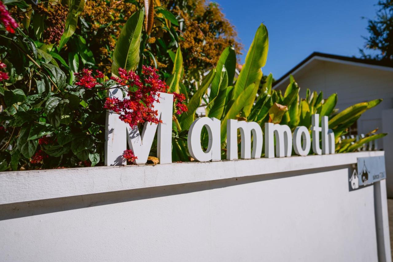 Mammoth Boutique Hotel Chiang Mai Eksteriør bilde